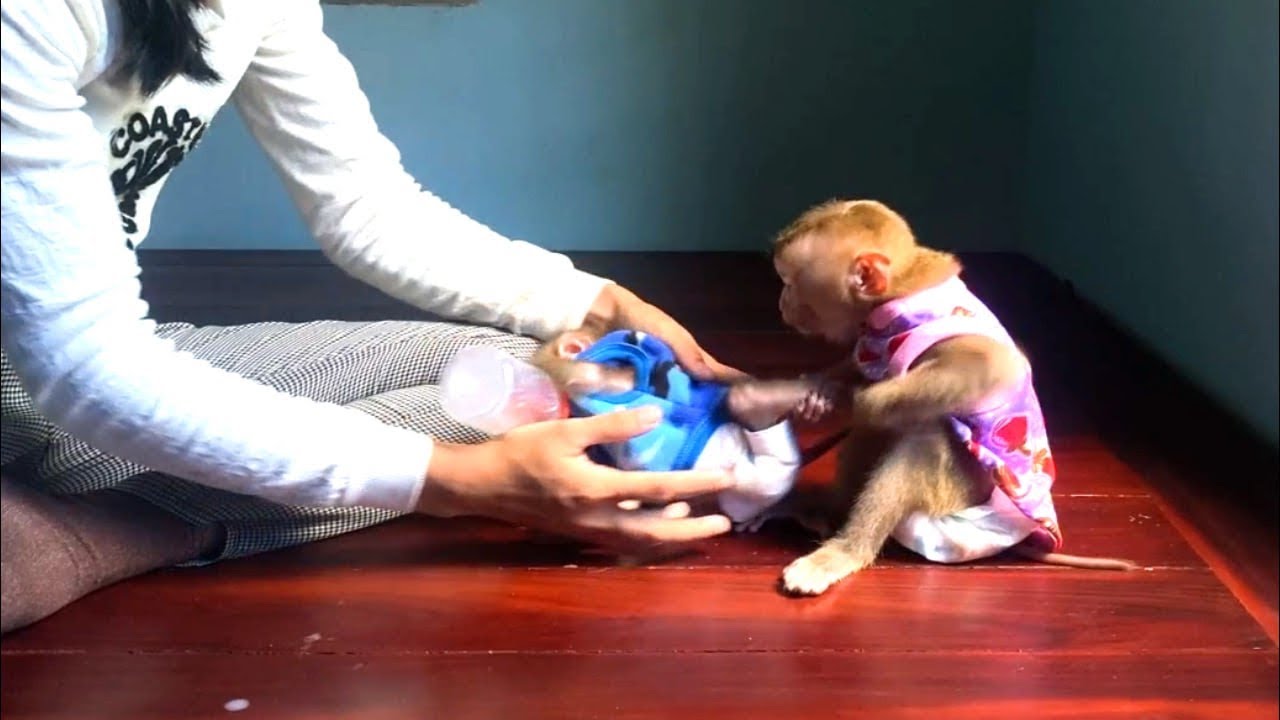 Jueur Nassty Action With Tourtour Again & Again