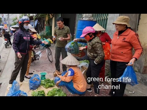 Βίντεο: Ποικιλίες φυτών Ginseng: Υπάρχουν διαφορετικοί τύποι τζίνσενγκ