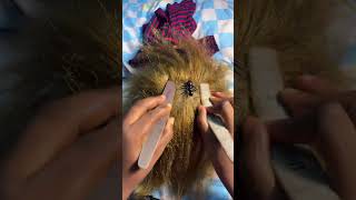 ASMR Gentle Bug 🐜 Removal And Hair Parting