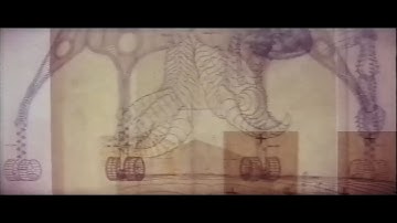 Contort. Compress. Compile. (Music Video) WARNING FLASHING LIGHTS