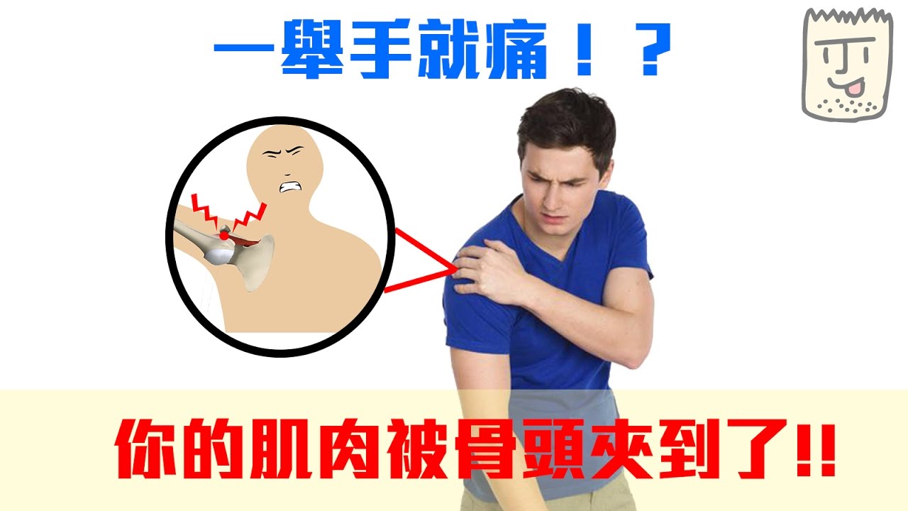 一舉手就痛 你罹患了肩夾擠症候群 疾病翻譯機 三個字sunguts Youtube