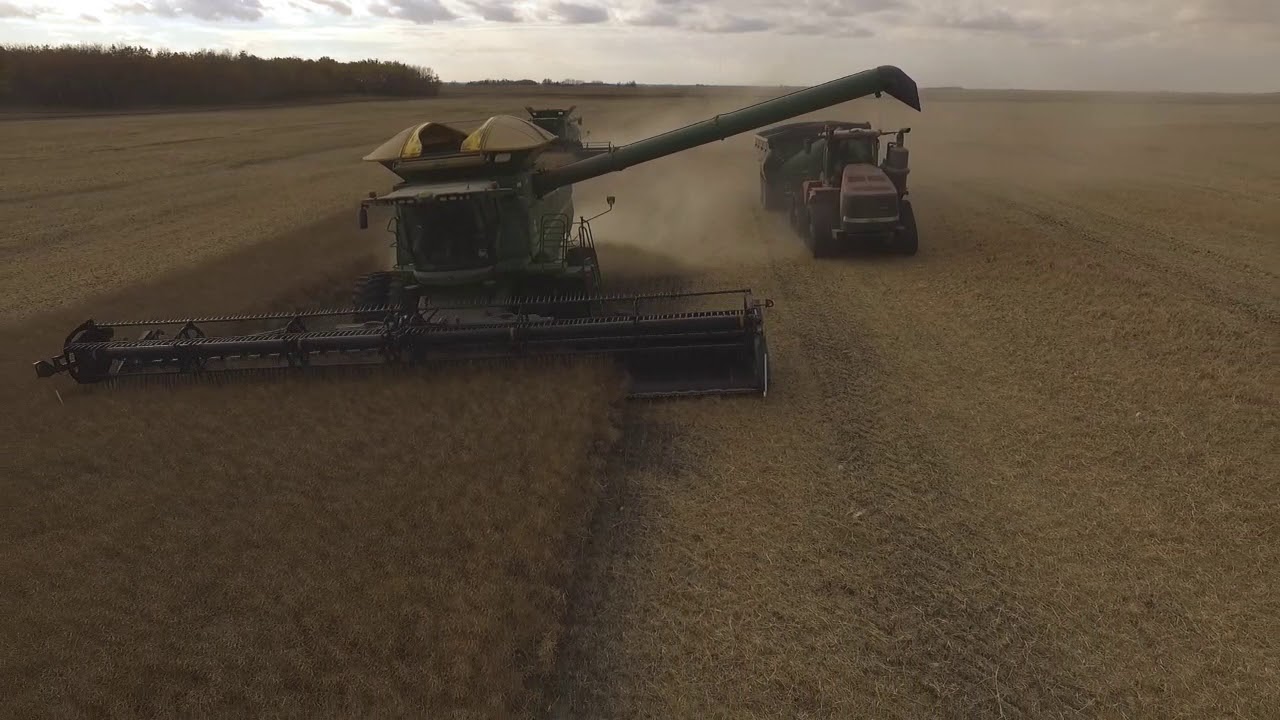 Frederick Farms Harvest 2020