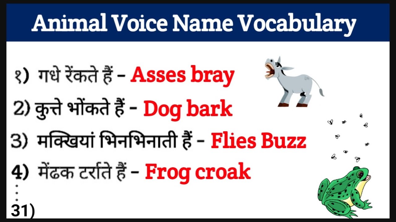 animal voice word english & hindi जानवरो की आवाज को हिंदी और इंग्लिश