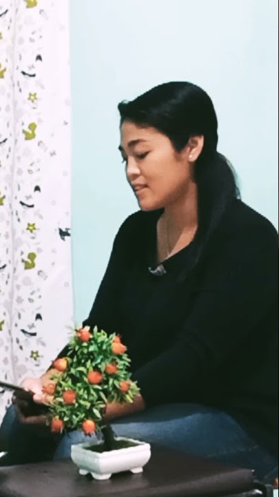 Layang Dungo Restu (LDR) #shorts