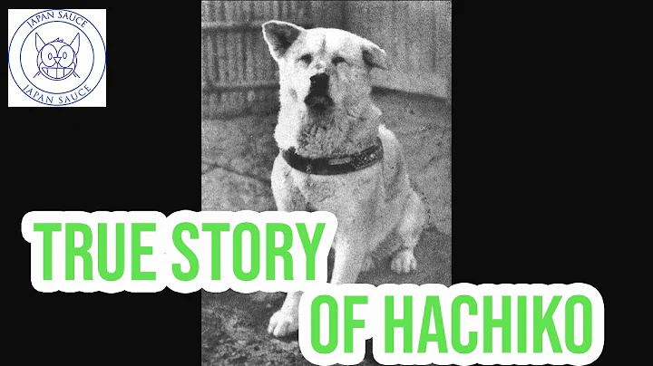 True Story of Hachiko! The Most Loyal Dog In All of Japan's History!