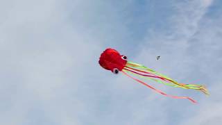 50th Annual Great Delaware Kite Festival
