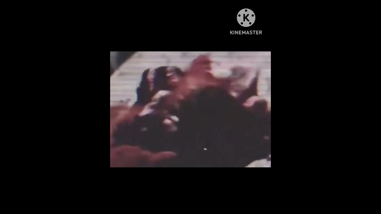 I'm Sorry Chef Pee Pee all images found