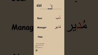 Arabic Alphabet for Beginners |د (dāl) #learnAarabic #languagelearning #arabicalphabet