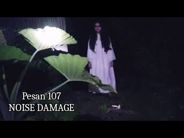 PESAN 107 ● NOISE DAMAGE class=