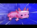 Everything You Need To Know About Axolotls In Minecraft 1.17