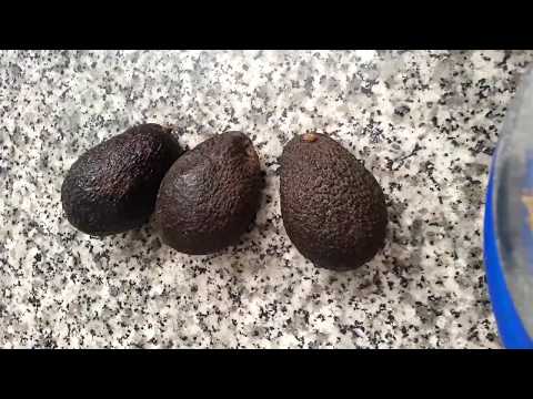 Video: Avokado yağı hazırlamağın 3 yolu