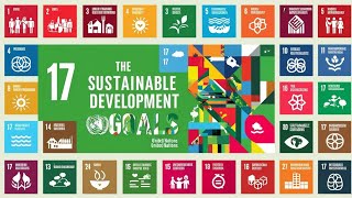 17 Sustainable Development Goals Adopted by UN.