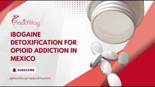 How Ibogaine Works on the Brain for Opioid Addiction? | PlacidWay