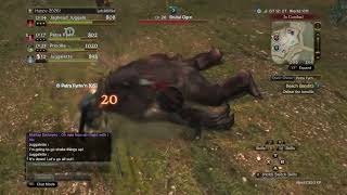 Dragons Dogma Online: Brutal Ogre Fight