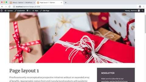 Page options override - Opinion WordPress Theme