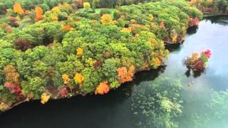 Birds at Hager Pond and a Corn Maze, Marlborough and Framingham MA, Drone Footage (Full flight)
