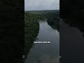 🌿The Amazon Rainforest Produces 20% Of Every Single Breath #amazonrainforest #lungsoftheearth