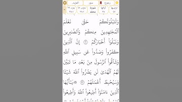 #سورة_محمد #رقم_47 القسم 11