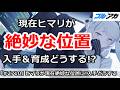 【ブルアカ】現在ヒマリが絶妙な位置!入手&育成はどうする!?【ブルーアーカイブ】