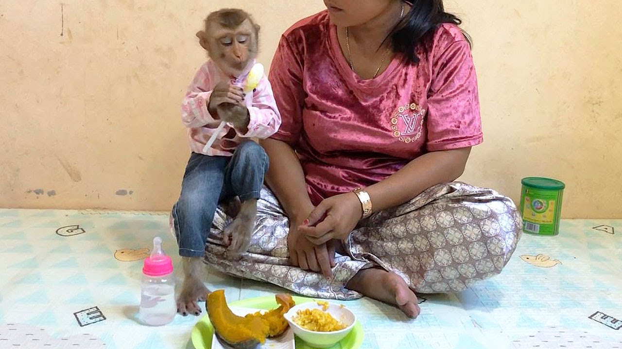 Smart Jason Lovely Attitude Politely To Eat Pumpkin Mashed Delicious