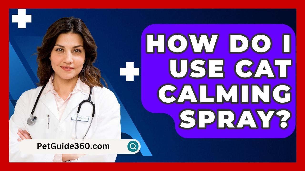How Do I Use Cat Calming Spray? - PetGuide360.com
