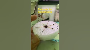 Lưỡi câu lục ( lục bềnh 6 chuyên bềnh  cho người câu bềnh lâu năm chuyên trị cá nhát ( giá 70k/c)