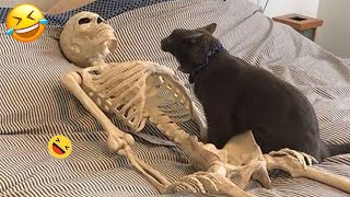 You Laugh You Lose 😂 Funniest Cats and Dogs 😹🐶 Part 26