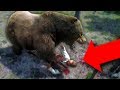 I FED HIM TO A BEAR! *BRUTAL!* | Red Dead Redemption 2 Outlaw Life #8