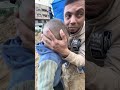 مشروع تركيب خيمتين على نفقه كريمه من الاخ يونس وعائلته 