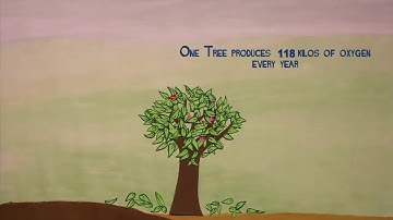 Save trees save life || WhatsApp status video ||