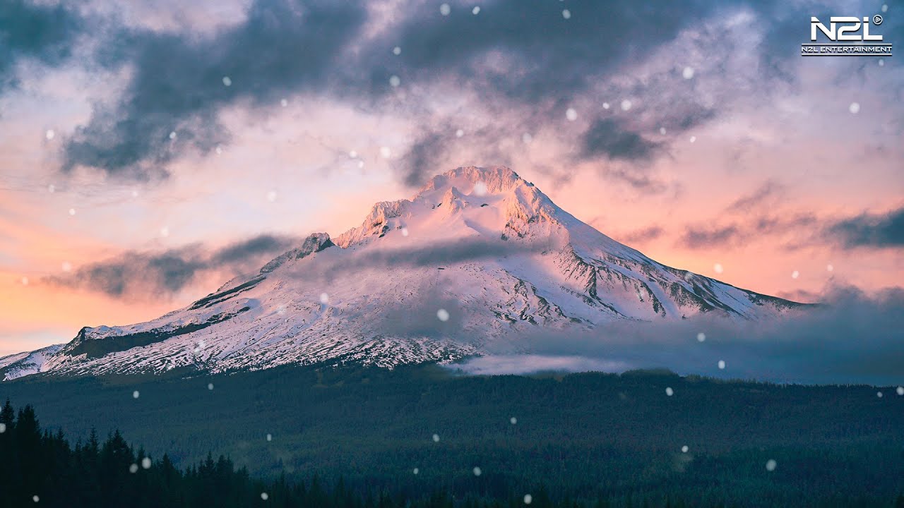 Blizzard Storm Sounds, Relaxing Snow Background Sounds | Heavy Wind & Snow by Nature Melody