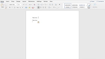 Copy and Paste in Word MAC Windows