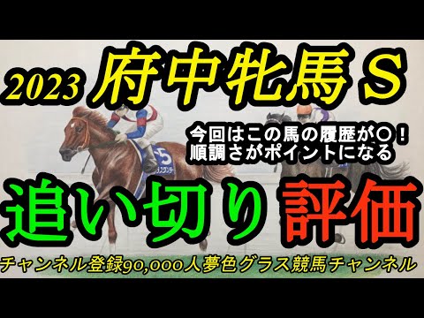 【最終追い切り評価】2023府中牝馬ステークス！今年の履歴で注目なのはこの馬？順調さや折り合いがポイントにもなりそうで