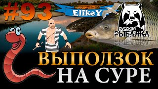 Закинул Выползка! • Налим и Сазан • Рыбалка на Карповики • Река Сура • Русская Рыбалка 4 #93