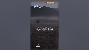 تلاوة عطره من سوره فاطر في يوم الجمعة استمع بقلبك 💚