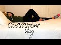 Day in my Life | Quarantine Style! Not flying, Cooking, My Pups, & More!
