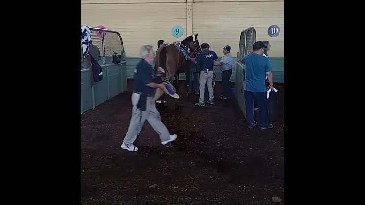 Trainer Carla Gaines saddles Queen's Code Sunday a...