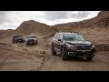 Off roading in Anza Borrego in a Subaru Ascent, Ford Ranger, Jeep Rubicon, and Toyota Tacoma