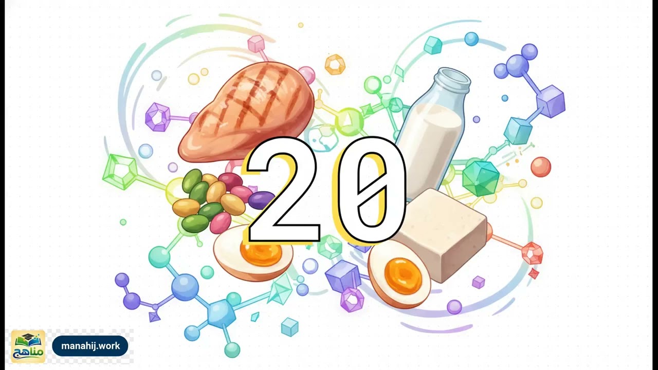 البروتينات |  كيمياء | ثالث ثانوي | المنهج اليمني