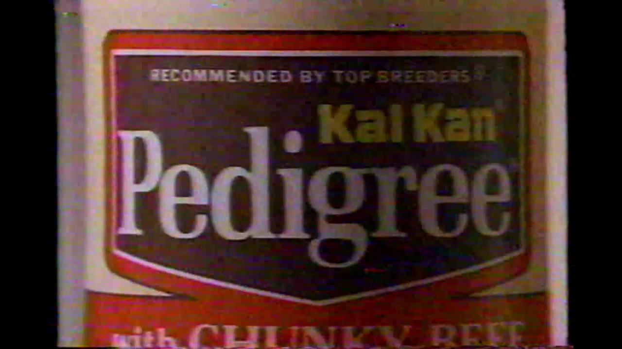 1988 Pedigree Dog Food Commercial YouTube