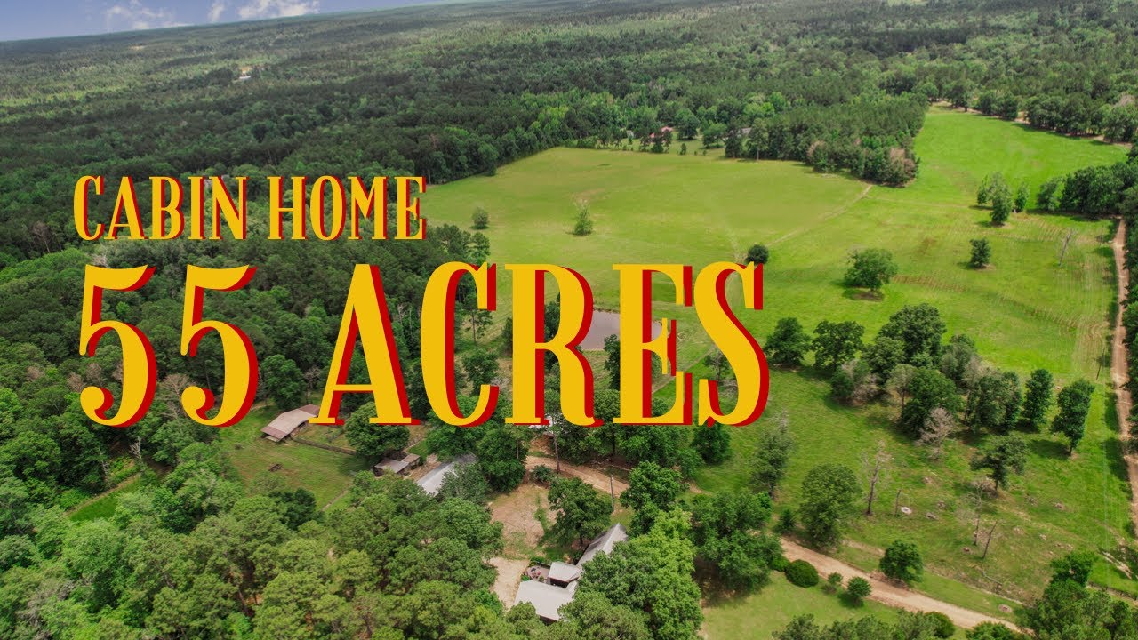 Cabin Home on 55 Acres For Sale in Marion County, MS