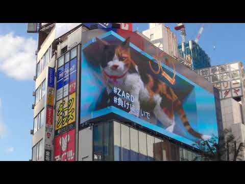 8Kワイド動画🐈️新宿3D巨大ネコ🐱ZARD負けないでバージョン😾