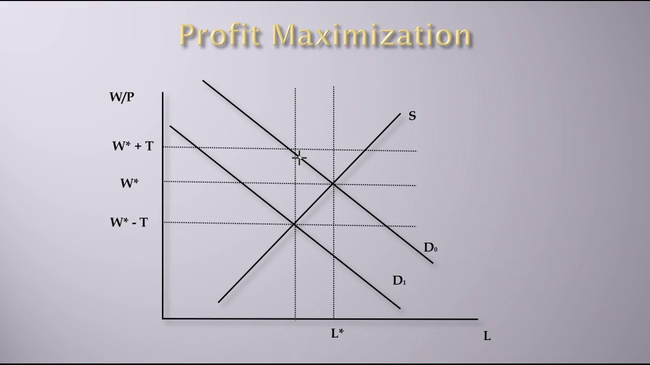 Labor Economics Labor Demand The Effect of Taxes YouTube