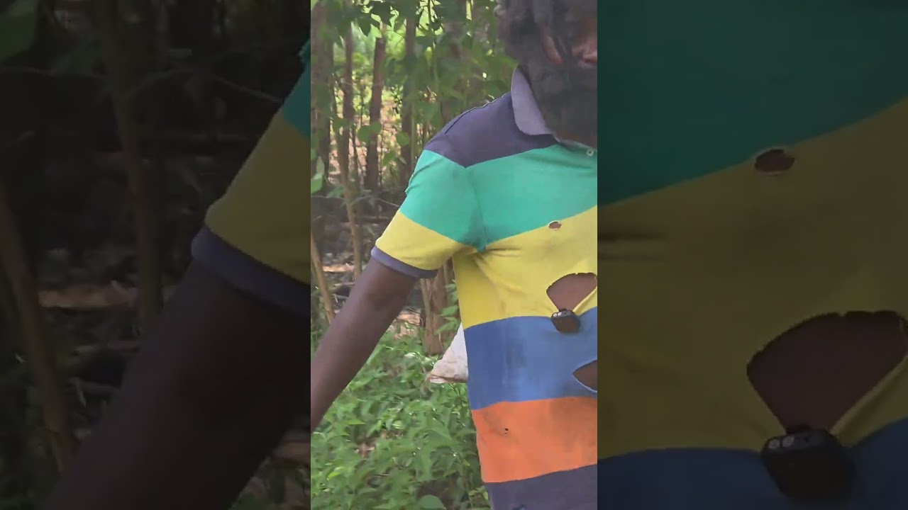 What a social test!!! Come see this ....