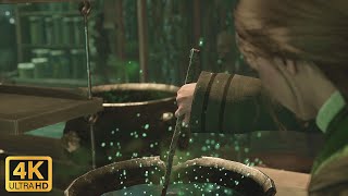 Potions Class - Hogwarts Legacy