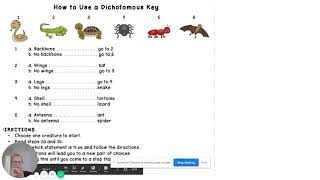 Lesson 2  Dichotomous Keys   Google Slides