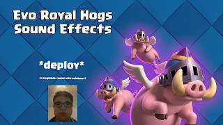Famous Clash Royale - All Evolution Royal Hogs sound effects #clashroyale #supercell #evoroyalhogs Net Worth