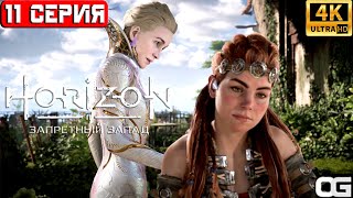 HORIZON ЗАПРЕТНЫЙ ЗАПАД 2024 | ПРОХОЖДЕНИЕ НА ПК | #11 | HORIZON FORBIDDEN WEST