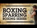 Boxing Sparring