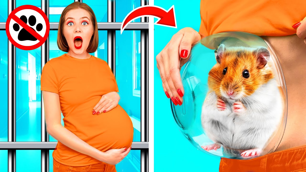 Как Пронести Животных в Тюрьму | Сумасшедший Челлендж от Funny Funny